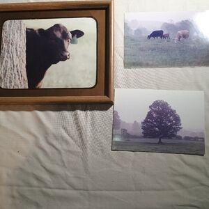 Rustic Farm Animal and Landscape Photo Set